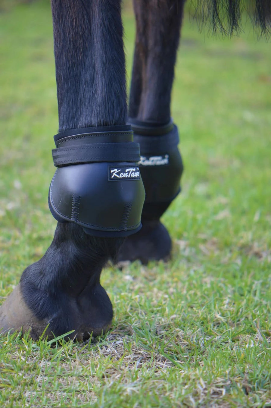 KENTAUR -Short Fetlock Pinch Boot 17cm