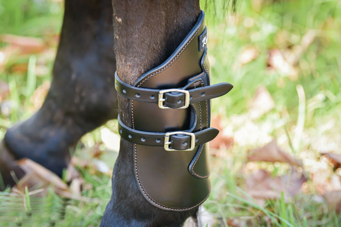 KENTAUR - Fetlock Weighted Training Boots