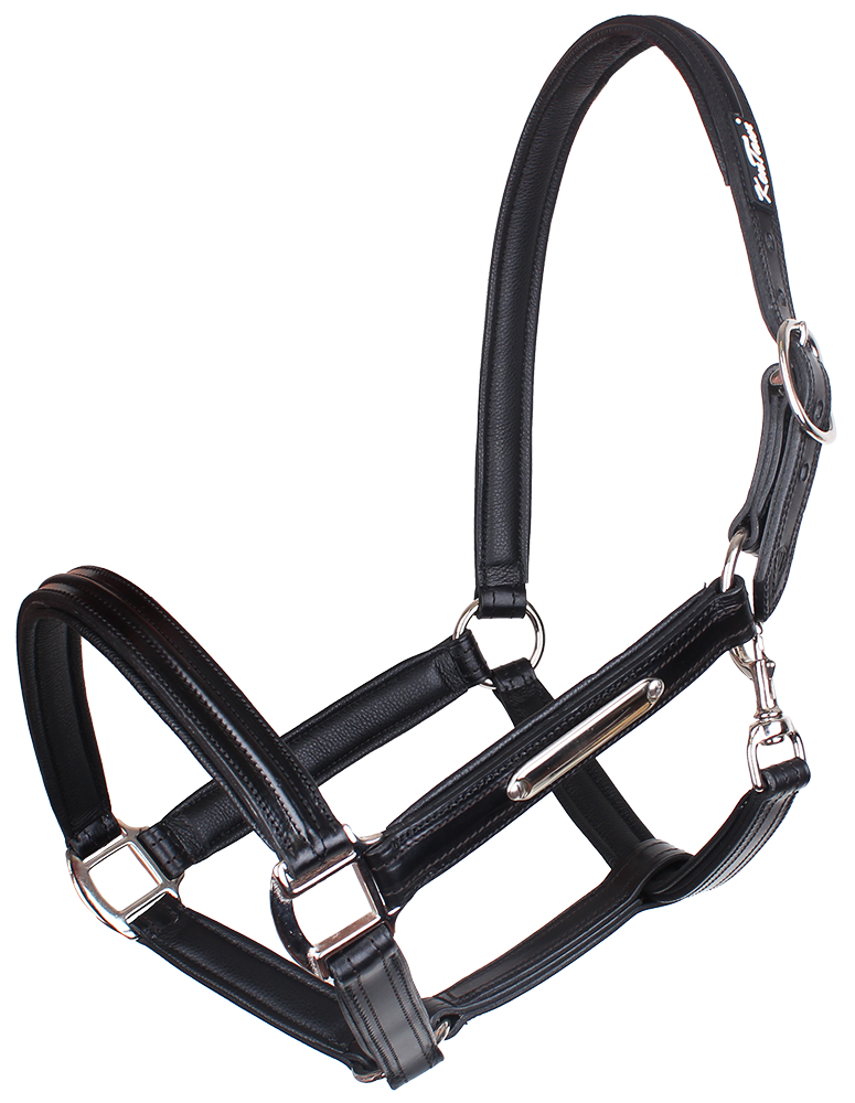 KENTAUR - Leather Halter with Name Plate