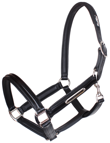 KENTAUR - Leather Halter with Name Plate