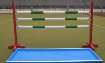Schooling Standards - Sold in Pairs